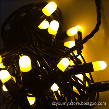 Christmas LED Rice Lights, 5m 50 LEDs